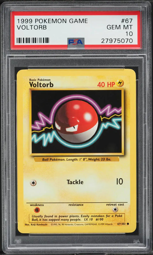 1999 POKEMON BASE SET VOLTORB #67 PSA 10 GEM MINT