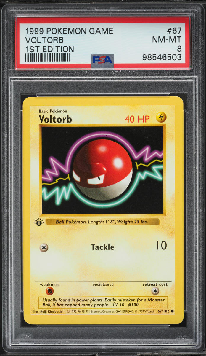1999 POKEMON BASE SET SHADOWLESS 1ST EDITION VOLTORB #67 PSA 8 NM-MT